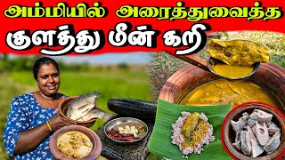 அரைச்சு வைச்ச குளத்துமீன் கறி  Our Village life ♥️  vanni vlog [upl. by Barb]