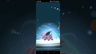 Nidorino evolved pokemongo [upl. by Hallie]