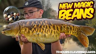 We Did NOT Expect This  Carp Fishing At Clavering Lakes  New Magic Beans [upl. by Collins]