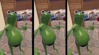 Frog Firing With Guns On Haryanvi Song Meme  Biyah Di Anpadh Hali Ke Frog Meme [upl. by Shwalb]