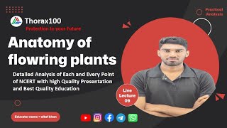 Anatomy of flowering plants Lecture 09 for Class 11 amp NEET Thorax100 [upl. by Douville]