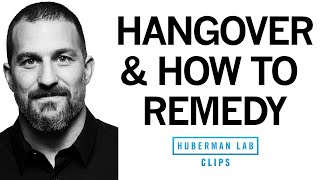 Alcohol Hangovers amp How to Cure a Hangover Based on Science  Dr Andrew Huberman [upl. by Antipas287]