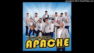 tropicalisimo apache mix 2020 [upl. by Eiaj]