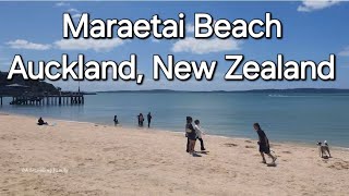 Maraetai Beach Auckland New Zealand  Beaches in Auckland [upl. by Katz553]