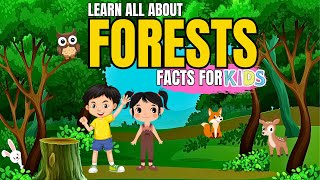 Learn All About Forest Facts For Kids [upl. by Anirdua]