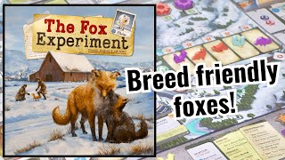 How to play the board game Fox experiment [upl. by Annmaria396]