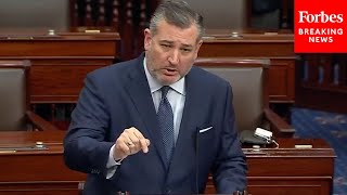 WATCH Ted Cruz Tries To Add HR2 To Continuing Resolution Citing Laken Riley—Then Dem Responds [upl. by Halie600]