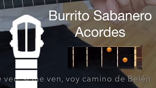 Burrito Sabanero  Canta con el Cuatro [upl. by Meenen]