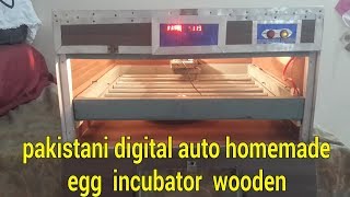 automatic egg incubator homemade  hatching chicken eggs  my hobby my birds [upl. by Ennyrb759]