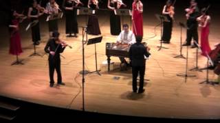 Hora Staccato Robert Margaryan violin New Generation Chambre Orchestra [upl. by Templia]