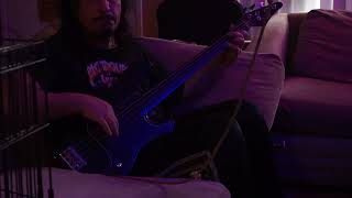 Samick Fretless Bass [upl. by Esiuqram]