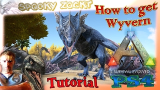 AdminCheat Dinospawn Tamed Wyvern Commando amp Orbital Cam Tutorial  Ark Survival Evolved [upl. by Kovacev]