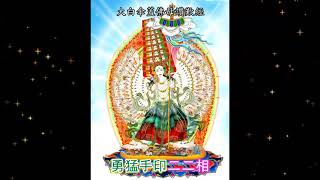 大白傘蓋佛母讚歎經 粤语 The Praises Of Vajra Ushnisha Sitatapatra Sutra Cantonese [upl. by Dunston717]