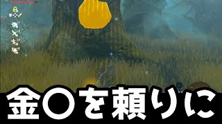 【祠制覇の旅】コログの森の祠に挑戦！まずは操りの力のしれん！【クン・シダジの祠 ゼルダの伝説 ブレス オブ ザ ワイルド コログの森 祠】 [upl. by Velma]