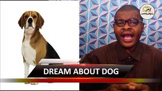 DREAM ABOUT DOG  Evangelist Joshua Orekhie [upl. by Ariamo253]