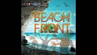 Beach Front Riddim Mix  Rubb a Dube Sound [upl. by Ennayar546]