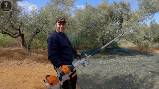 STIHL SP 452 amp SPA 140 σε ελληνικό ελαιώνα [upl. by Adnanref]