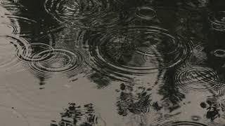 Rainy Day 30 Minute Playlist letting you into my head again [upl. by Annaor]