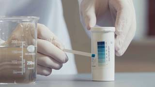 How to use Sanosil Test Strips Instructional Video [upl. by Arihday]