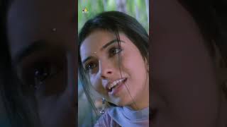 Asin Serious Over Vijay Thalapathy  massraja  action  shorts  ytshorts  youtubeshorts [upl. by Smoot]