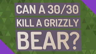 Can a 3030 kill a grizzly bear [upl. by Edin892]