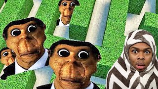 Obunga Maze [upl. by Nomelihp]