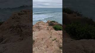 Playas de Tarragona el día de la tormenta Dana Caminando [upl. by Catina]