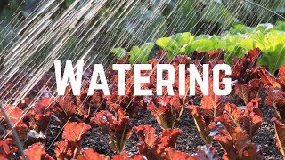 Watering [upl. by Erek]