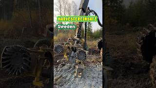 🇸🇪Sweden❤️Holzernte mit Harvester in Sweden🌲🪵sweden travel shorts [upl. by Suivatal]