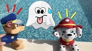 Patrulla canina español SALVA A UN FANTASMA EN LA PISCINAnuevo capitulo completo paw patrol 97 [upl. by Eltsryk452]