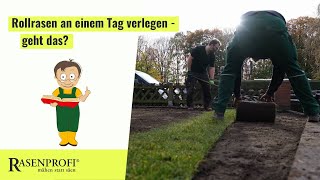 Rollrasen an einem Tag verlegen  geht das [upl. by Filberto486]