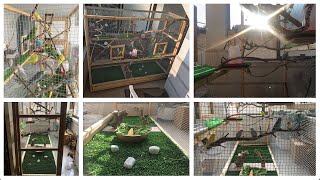 Building The Most Beautiful Aviary Budgie Kingdom [upl. by Nelehyram]