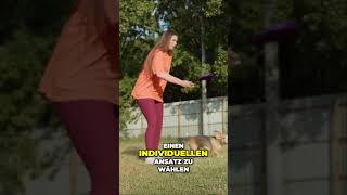 Positive Verstärkung im Hundetraining [upl. by Blackwell583]