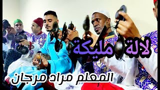 gnawa lala Malika maalem Morad Marjane ݣناوة لالة مليكة من ليلة حية مع المعلم مراد مرجان [upl. by Orly733]