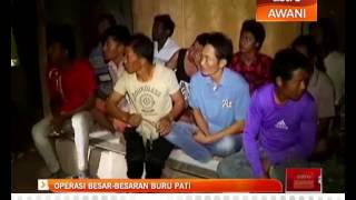 Operasi besarbesaran buru PATI [upl. by Renell767]