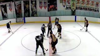 beer league hockey game  very tight [upl. by Eelanna]