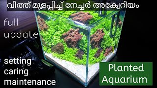 Planted aquarium  nature aquarium aqua scape in Malayalam  planted aquarium setting using seeds [upl. by Hesther]