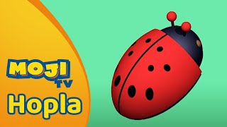 EEN LIEVEHEERSBEESTJE 🐞  HOPLA 🐇  Nederlandse Kinderseries  MojiTV [upl. by Petronia]