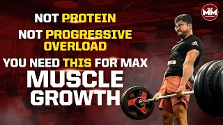 You Need This To Maximise Muscle Growth  தமிழில் [upl. by Zadoc132]