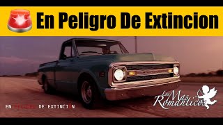 EN PELIGRO DE EXTINCION  LOS MAS ROMANTICOS [upl. by Cyn262]