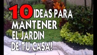 10 ideas para mantener el jardin de tu casa sin gastar mucho dinero [upl. by Korney711]