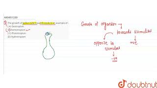 The growth of pollen tube towards ovule is an example of   A Geotropism B Chemotropism  C P [upl. by Ardena]