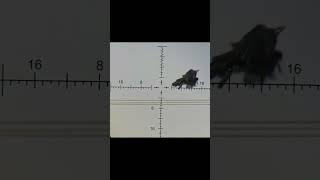 Long Range Shot Crow down with Huben K1 [upl. by Oirottiv]