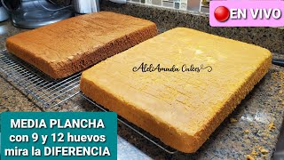 como hacer pan esponja Media Plancha para tres leches  mejor absorción [upl. by Hodgson]