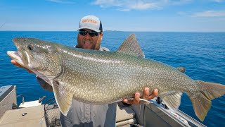 Vertical Jigging MASSIVE Lake Superior Lake Trout Underwater Footage [upl. by Johnsson]