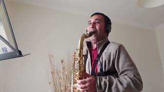 Deck The Halls  Arr Tim Curd play Tenor Saxophone [upl. by Colombi]