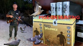 FASSAGÜVERCİN AVI  PİGEON HUNTİNG [upl. by Ches]