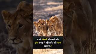 New Motivational Video  Inspiration short video  motivation inspirationalvideos motivational [upl. by Eslek]