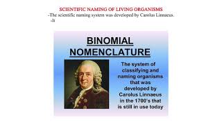 SCIENTIFIC NAMING OF LIVING ORGANISMS [upl. by Elokkin]