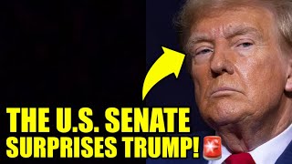 The SENATE Just Dropped A BRUTAL Legal BOMBSHELL On Trump [upl. by Etselec71]